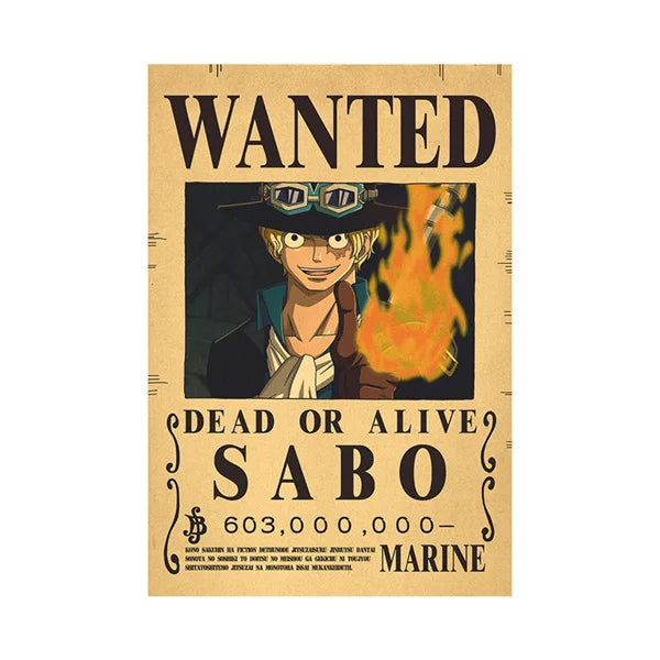 One Piece Wanted Poster
