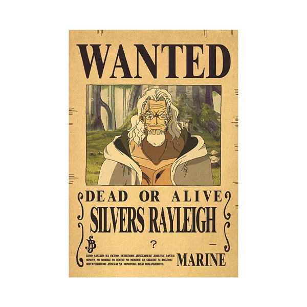One Piece Wanted Poster