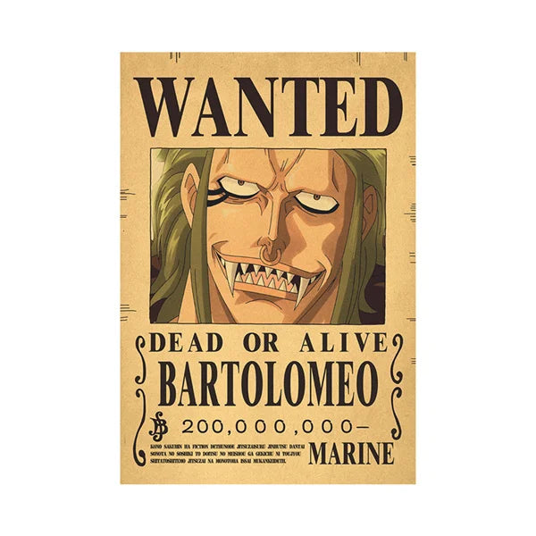 One Piece Wanted Poster