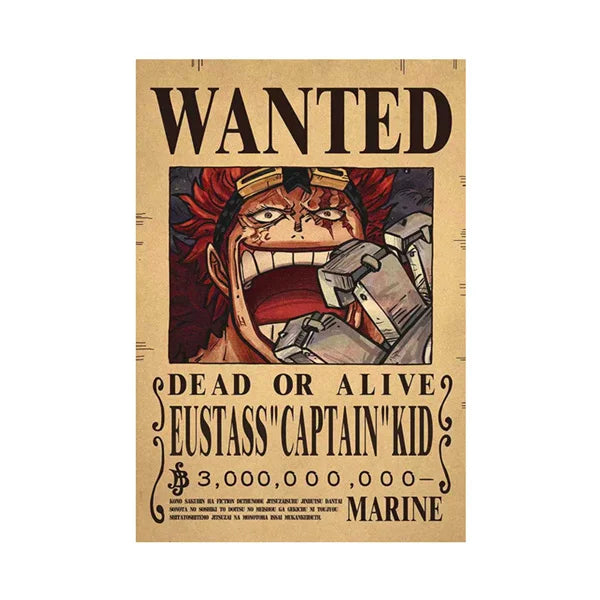One Piece Wanted Poster