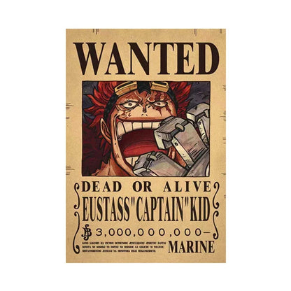 One Piece Wanted Poster